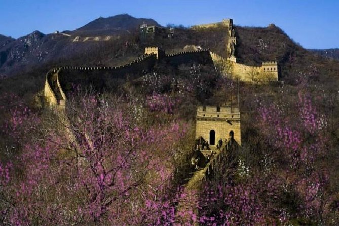 Six Days Highlight Tour From Beijing to Kunming by High-Speed Train - Tour Overview