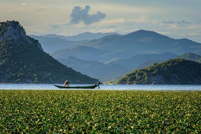 Skadar Lake Boat Ride Through Montenegrin Amazon, Wine Tasting & Niagara Falls - Key Points