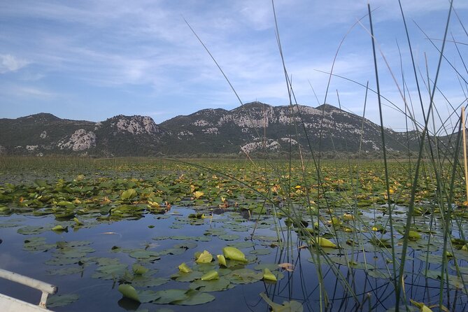 Skadar Lake Boat Ride Through Montenegrin Amazon, Wine Tasting & Niagara Falls - Cancellation and Pricing Details