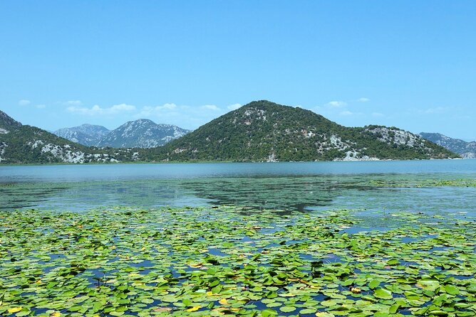 Skadar Lake Day Trip From Herceg Novi - Tour Accessibility