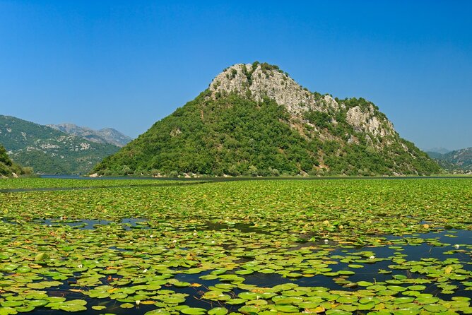 Skadar Lake Day Trip From Herceg Novi - Booking Details