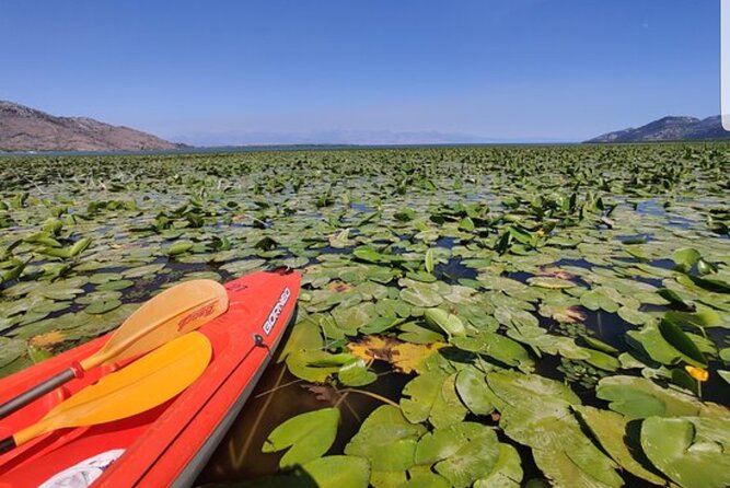 Skadar Lake Official - Kayak Tour - Cancellation Policy