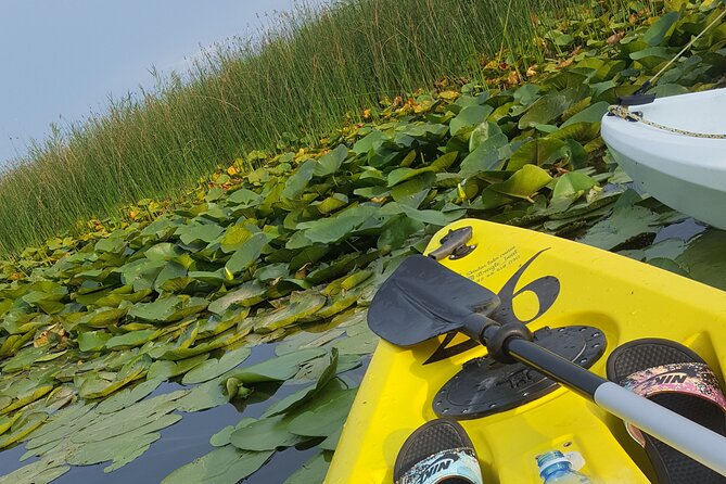 Skadar Lake Official - Kayak Tour - Booking Confirmation