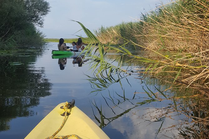 Skadar Lake Official - Kayak Tour - Transportation Options