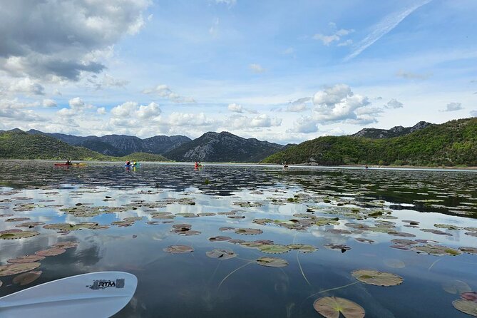 Skadar Lake on Kayaks Experience With Spectacular Views - Meeting and Pickup Details