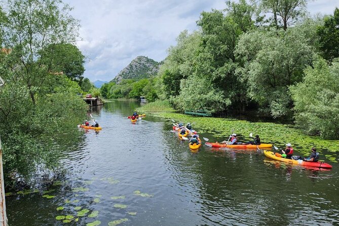 Skadar Lake on Kayaks Experience With Spectacular Views - Group Size and Capacity