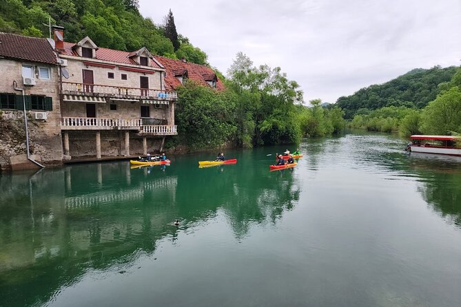 Skadar Lake on Kayaks Experience With Spectacular Views - Kayaking on the Tranquil Waters