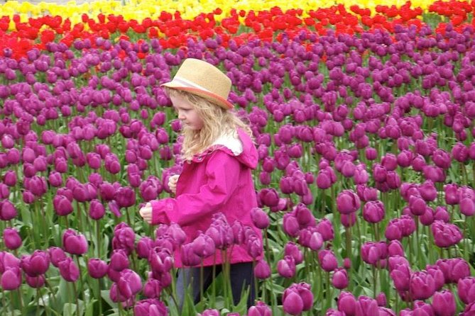 Skagit Valley Tulip Festival Day Trip From Seattle - Customer Feedback