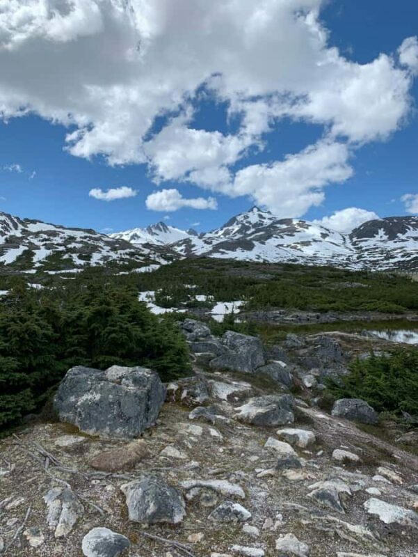 Skagway City & Mountain Summit Tour - Frequently Asked Questions