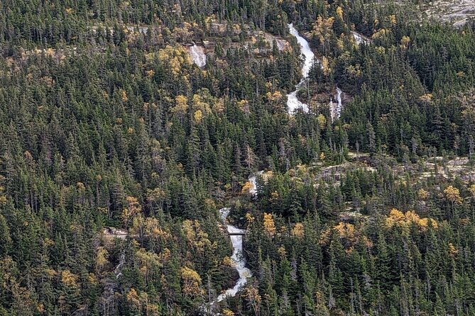 Skagway City & Summit Tour - Cancellation and Booking