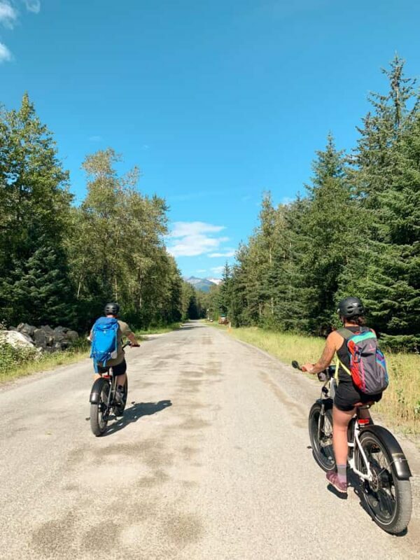 Skagway: E-Bike Rental - Why Choose the Skagway E-Bike Experience?