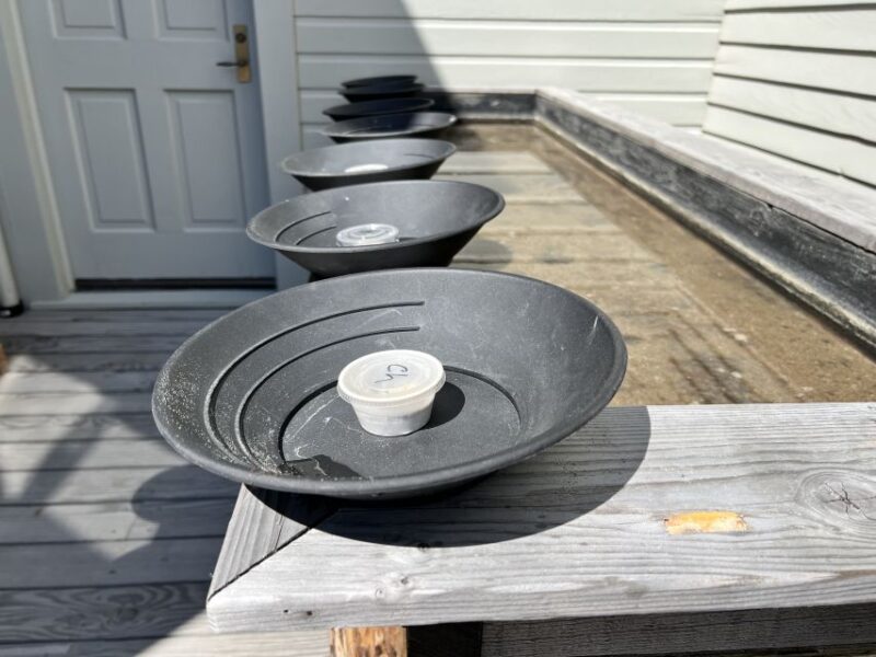 Skagway: Gold Panning Experience - Location and Accessibility