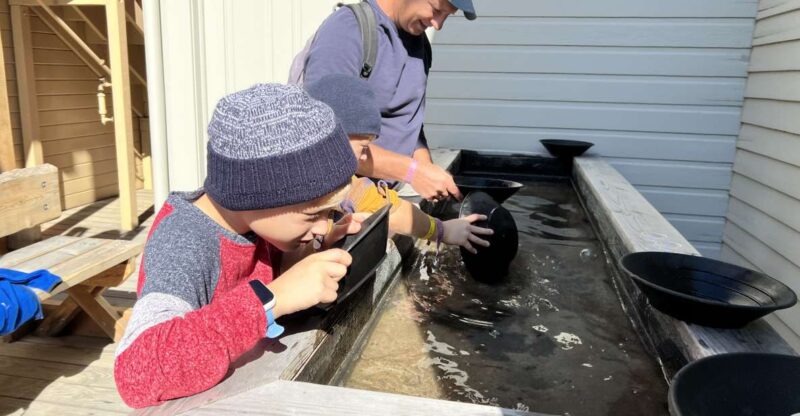 Skagway: Gold Panning Experience - Pricing and Cancellation