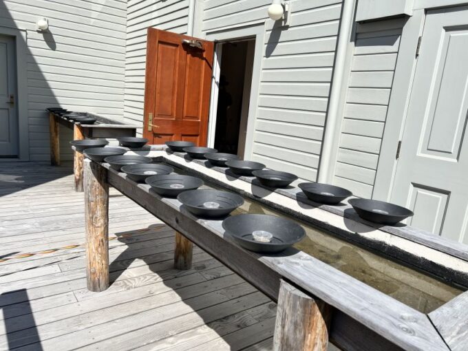 Skagway: Gold Panning Experience - Activity Description
