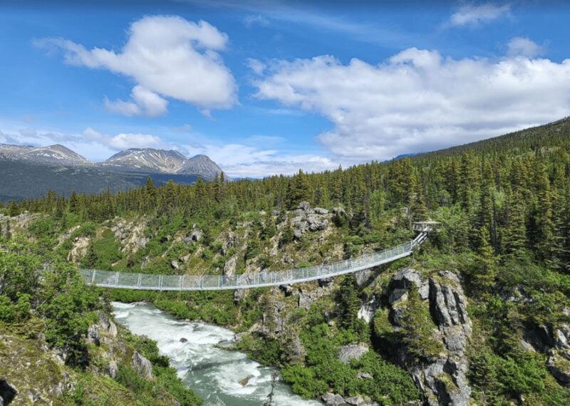 Skagway: Klondike Highway & Yukon Bus Tour With Husky Kennel - Important Information