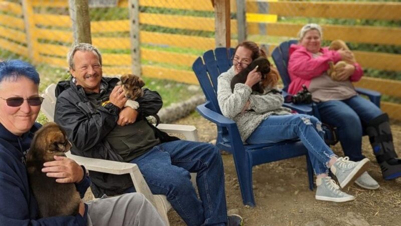 Skagway: Klondike Highway & Yukon Bus Tour With Husky Kennel - Experience and Attractions