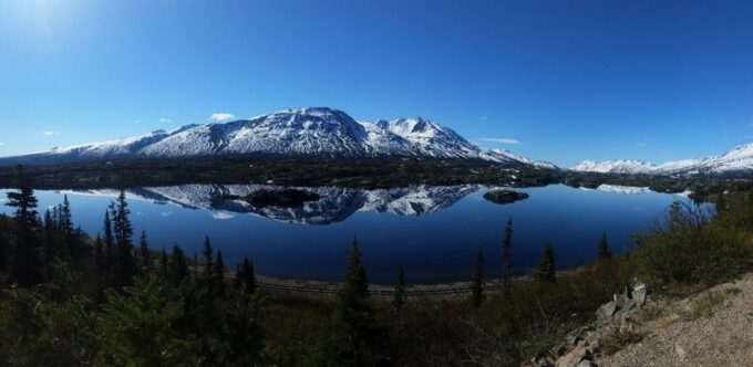 Skagway: Klondike Highway & Yukon Bus Tour With Husky Kennel - Meeting Point and Requirements