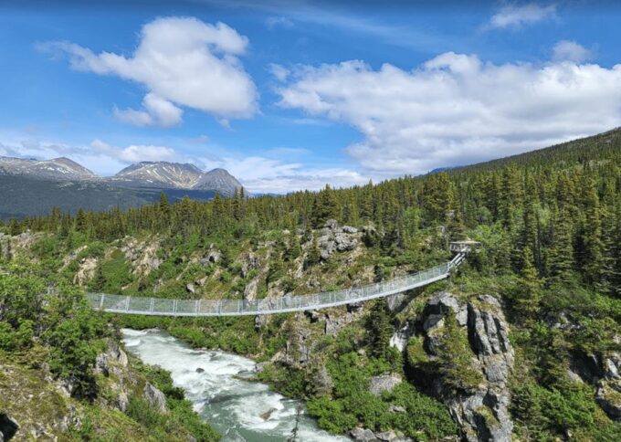 Skagway: Klondike Highway & Yukon Bus Tour With Husky Kennel - Frequently Asked Questions