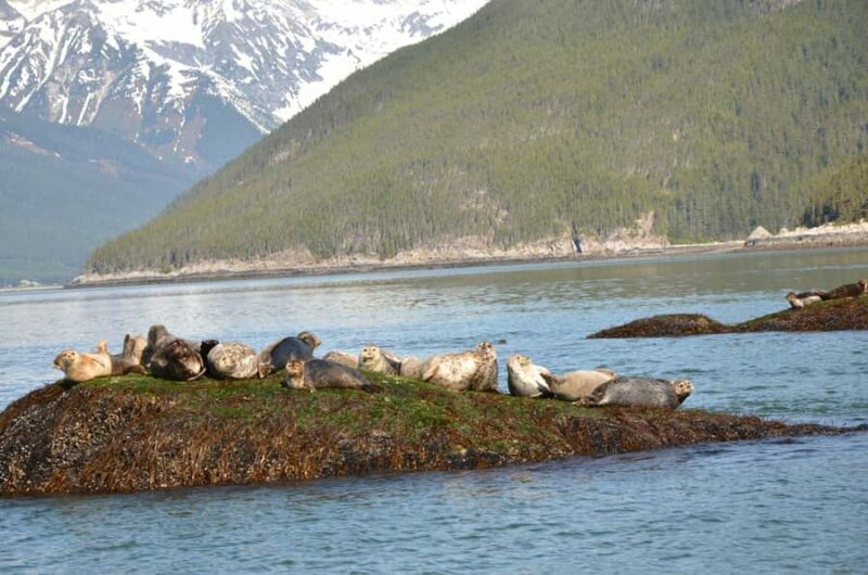 Skagway: Ocean Raft Adventure Along Scenic Coastline - An Honest Look at the Skagway Ocean Raft Adventure