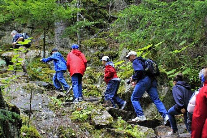 Skagway Shore Excursion Chilkoot Trail Hike and Float Tour - Transportation and Hiking