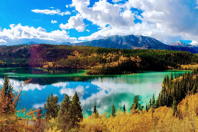 Skagway Shore Excursion: Full-Day Tour of the Yukon - Just The Basics