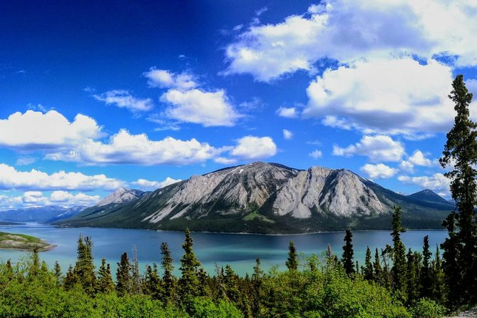 Skagway Shore Excursion: Full-Day Tour of the Yukon - Itinerary Highlights