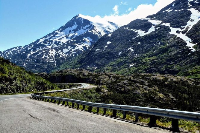 Skagway Shore Excursion: Half-Day Tour to the Yukon Border and Suspension Bridge - Tour Group Size