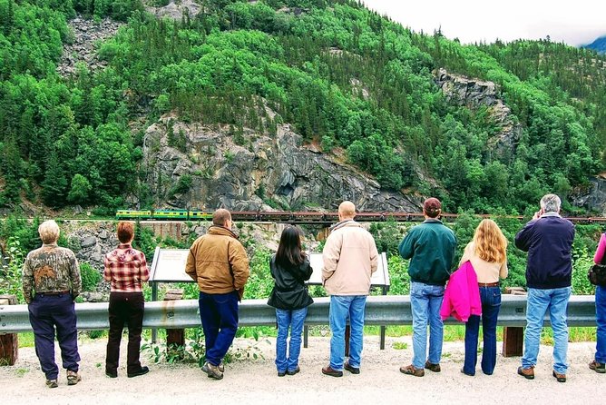 Skagway Shore Excursion: Half-Day Tour to the Yukon Border and Suspension Bridge - Customer Reviews