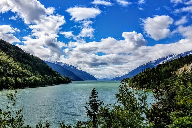 Skagway Shore Excursion: Scenic River Float Tour - Scenic Beauty and Wildlife Sightings