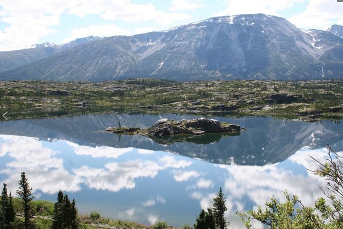 Skagway Shore Excursion: Yukon Discovery Tour - Reviews and Feedback
