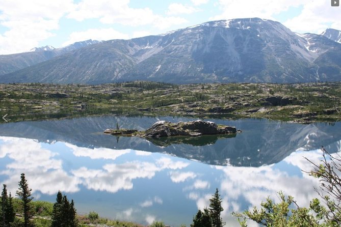 Skagway Shore Excursion: Yukon Dog Sledding and Sightseeing Tour - Physical Fitness Level