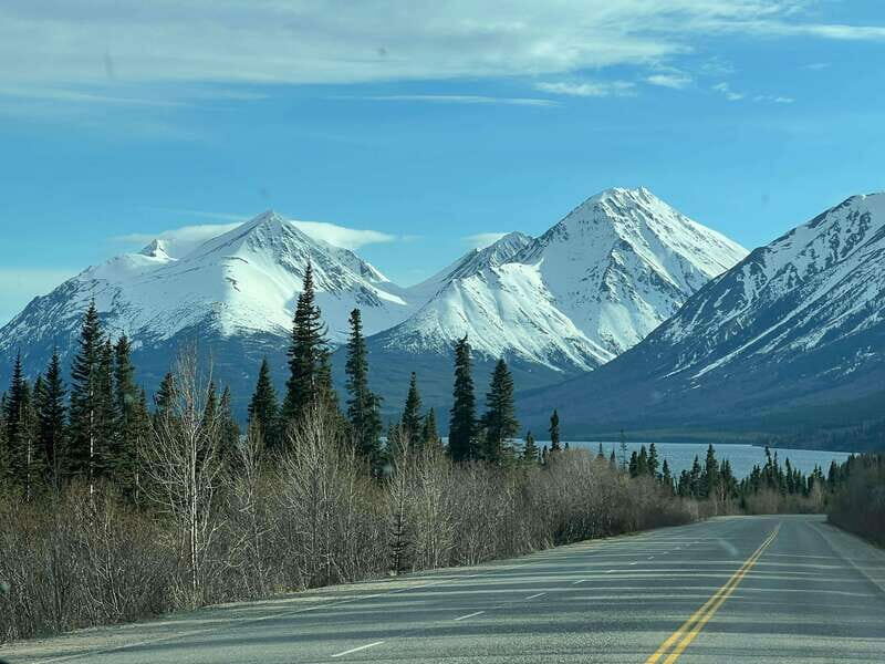 Skagway: Yukon Dog Mushing & Sightseeing Tour - Key Points