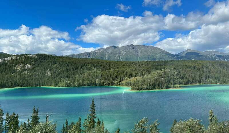 Skagway: Yukon Dog Mushing & Sightseeing Tour - Is It Worth the Price?