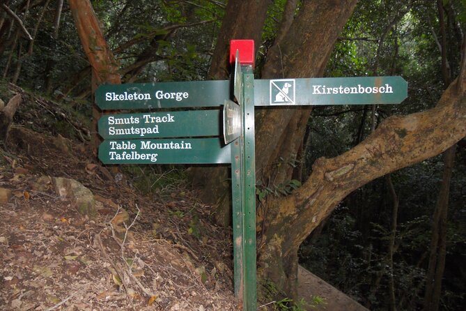 Skeleton Gorge Hike on Table Mountain - Panoramic Views From the Summit