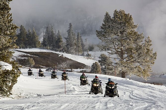 Ski-doo Snow Safari in Borovets - Participation Requirements