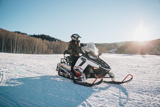 Ski-doo Snow Safari in Borovets - Group Size