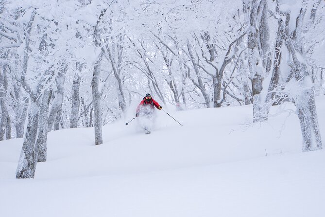 Ski or Snowboard Lesson in Shiga Kogen (4Hours) - Inclusions and Exclusions