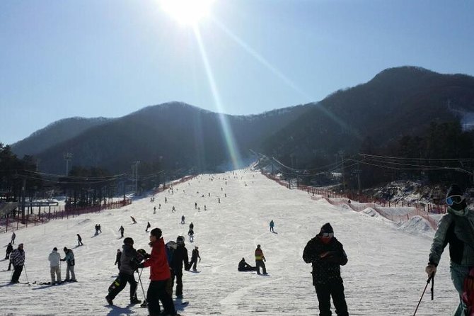 Ski Tour to Jisan Ski Resort From Seoul - Inclusions
