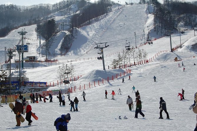 Ski Tour to Jisan Ski Resort From Seoul - Reviews and Additional Info