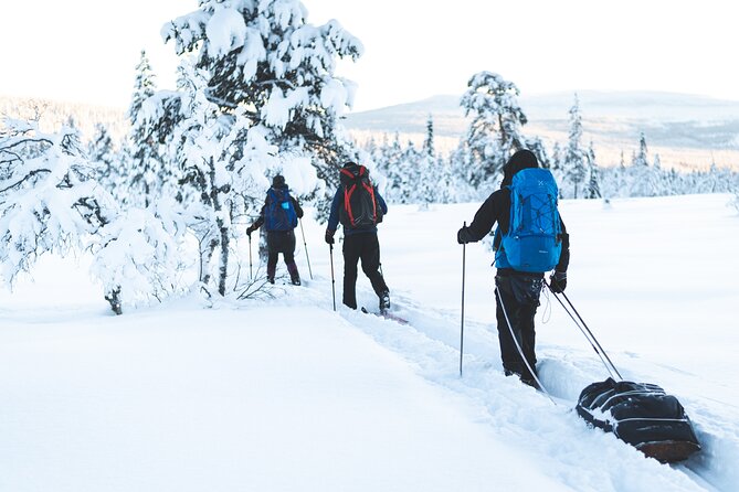 Ski Touring and Winter Fun in Fulufjallet Mountain Plateau - Meeting and Pickup Details