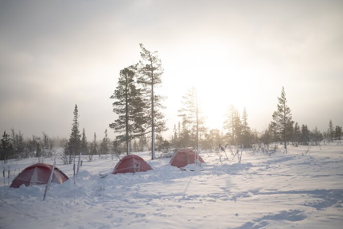 Ski Touring and Winter Fun in Fulufjallet Mountain Plateau - Traveler Reviews