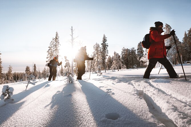 Ski Trekking Safari in Lapland - Itinerary