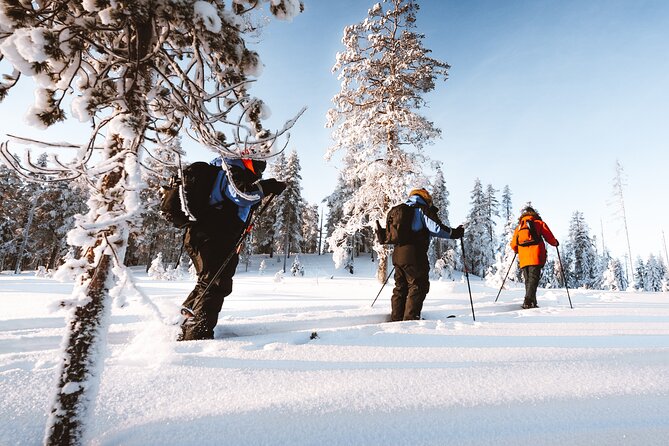 Ski Trekking Safari in Lapland - Health Restrictions