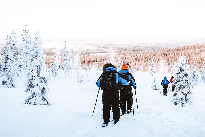 Ski Trekking Safari in Lapland - Cancellation and Pricing