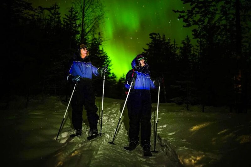 Ski Trekking Under the Northern Lights - Group Size and Language