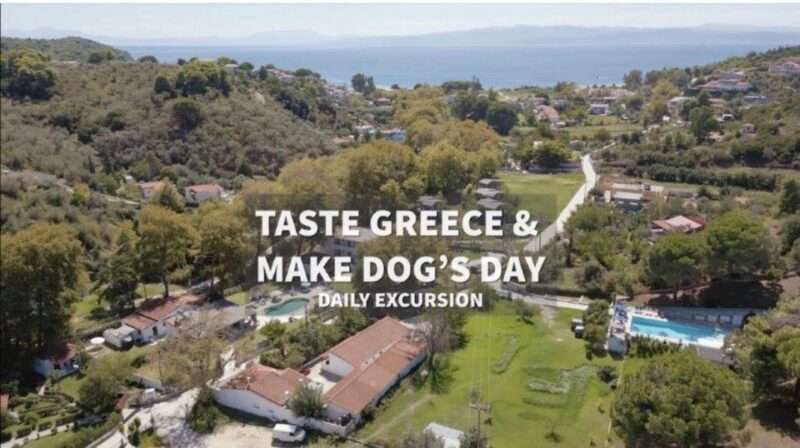 Skiathos: Dog Shelter Visit, Hike & Cooking Class With Lunch - Customer Feedback and Ratings