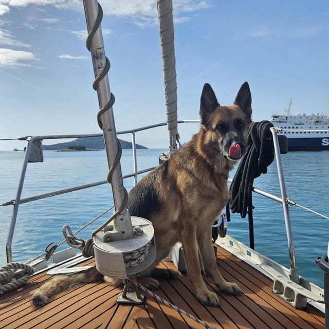Skiathos Private Tours :Sailing Day With Lunch on Board, - Lunch and Drinks