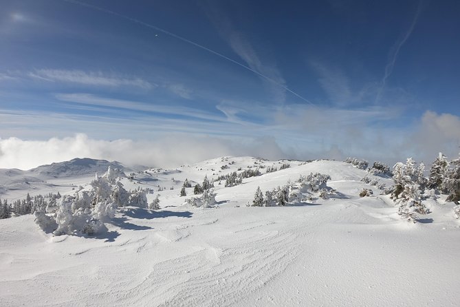 Skiing at Sarajevo Olympic Mountains – Full Day Tour From Sarajevo - Itinerary and Schedule