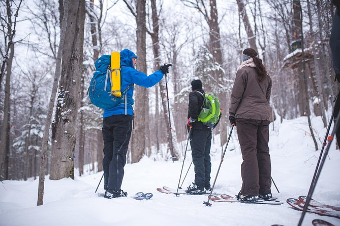 Skiing (Hok Ski) Excursion in Jacques-Cartier National Park - Activity Highlights and Inclusions