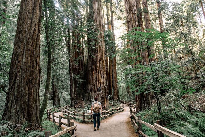 Skip The Bus: Muir Woods & Sausalito by Minivan - Key Points